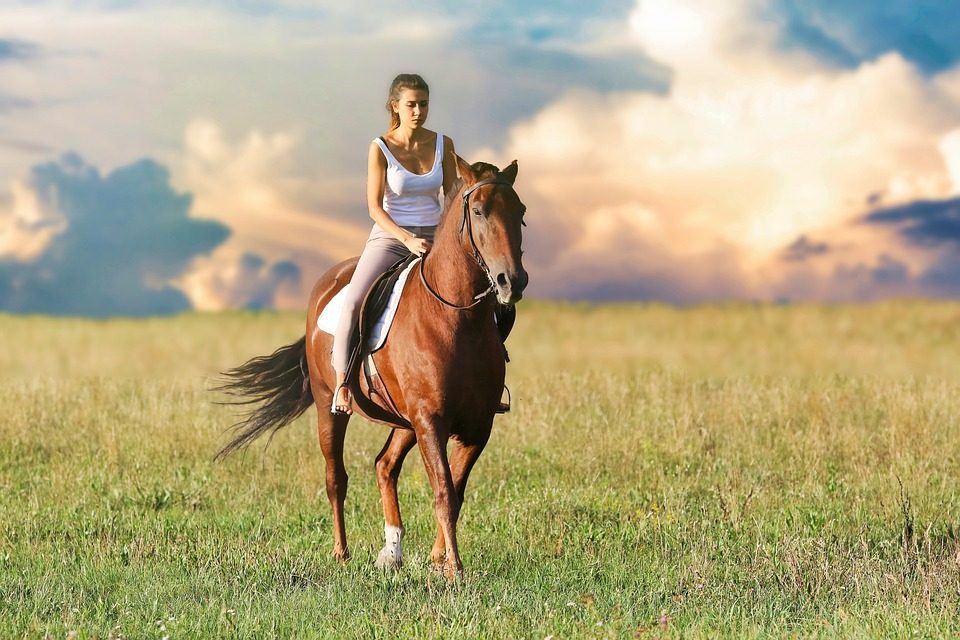 Jak začít s jízdou na koni